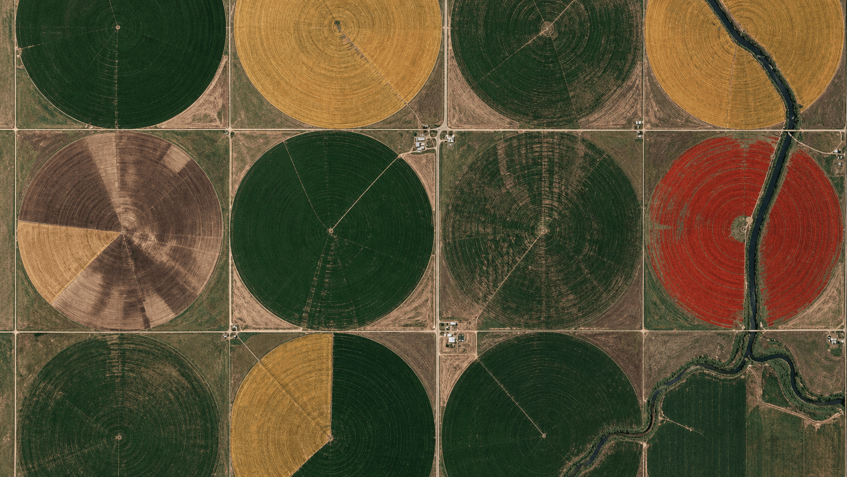 Orthographic satellite view of circular fields crossed by a dark winding river